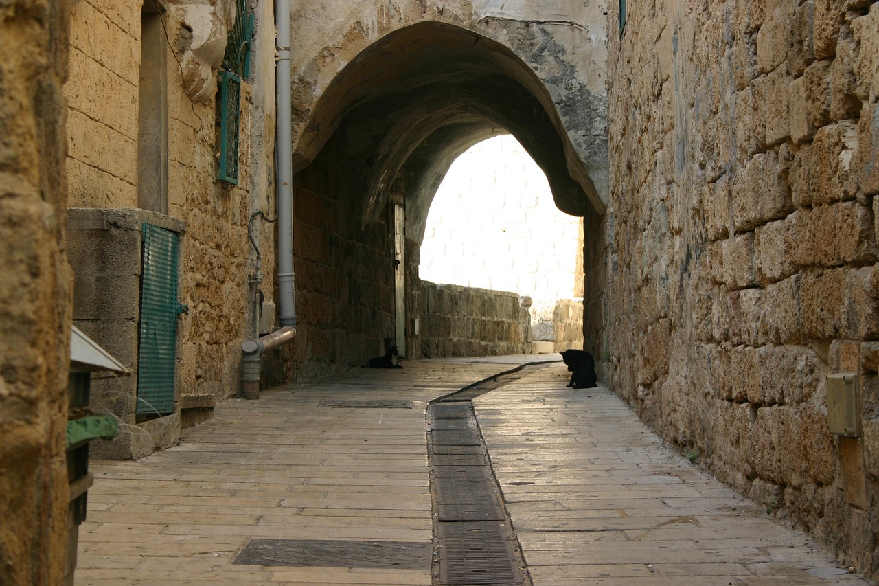 Turkey Tour - Image 4